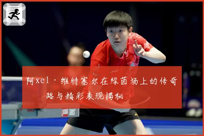 阿xel·维特塞尔在绿茵场上的传奇之路与精彩表现揭秘