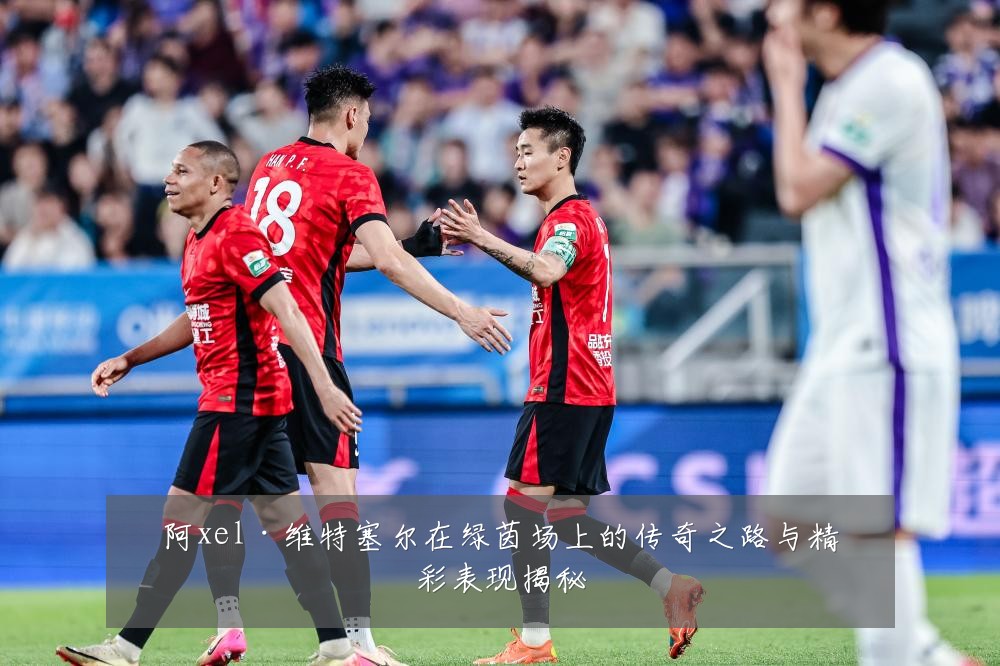 阿xel·维特塞尔在绿茵场上的传奇之路与精彩表现揭秘
